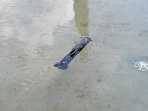 typhoon02
