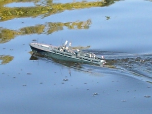 PT03